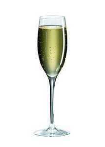 Ravenscroft Vintner's Choice Champagne - Set of 4 - VC-26